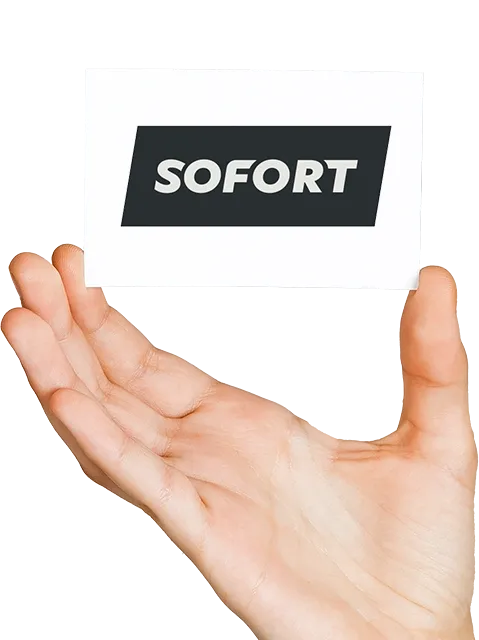 Server mit Sofortüberweisung (Klarna) mieten